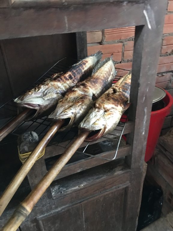 越南Local tour 湄公河一日遊體驗分享。美托搖船體驗（從胡志明市出發）[極光公主飛妮] @極光公主飛妮