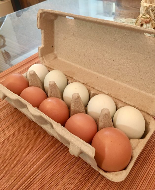 樂活牧場青花蛋+雙機能蛋開箱分享～開趴雞生的蛋！低密度五星飼養環境、優質飼料、新鮮優質食材產地直送。CheerLife 生活趣兒購物平台。[Miss飛妮] @極光公主飛妮