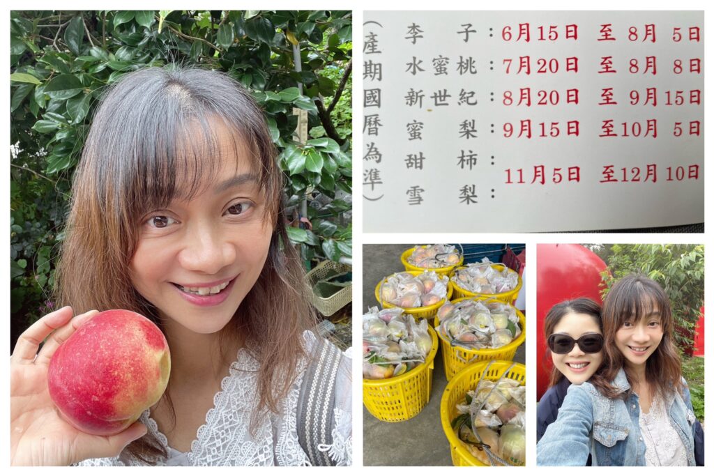 台中環山部落 古錐與曾老闆的水果園  每年六月開始李子水蜜桃梨子甜柿 @極光公主飛妮