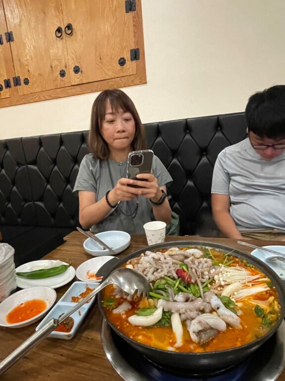 韓國首爾釜山自助行第一天     行程分享      明洞章魚辣燉雞塊湯  蔘雞湯 @極光公主飛妮