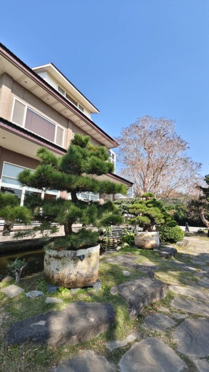 苗栗公館蘭庭農莊花園餐廳   旅遊團桌菜也能那麼精緻美味   落羽松林拍起來超美異國風 @極光公主飛妮