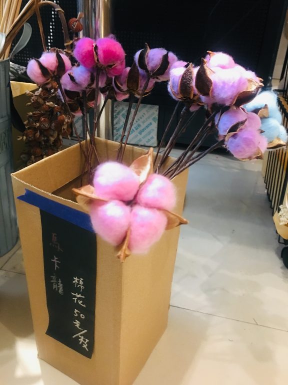 【訪花舍】新竹竹北乾燥花束造型、盆栽設計。鮮花預購花束。[極光公主飛妮] @極光公主飛妮